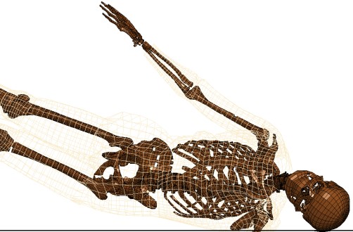 Skeleton