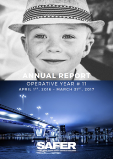 Annual report 2017