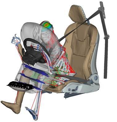 Virtual crash test dummy